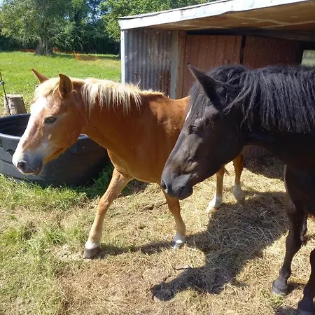 Apartment Maison Thalene