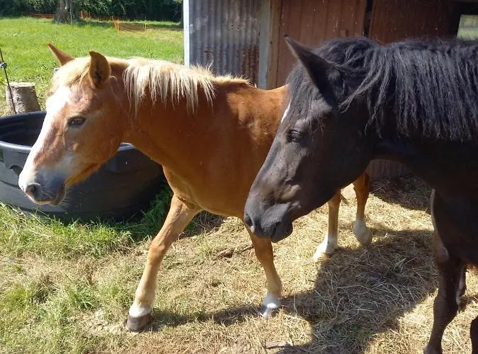 דירה Maison Thalene